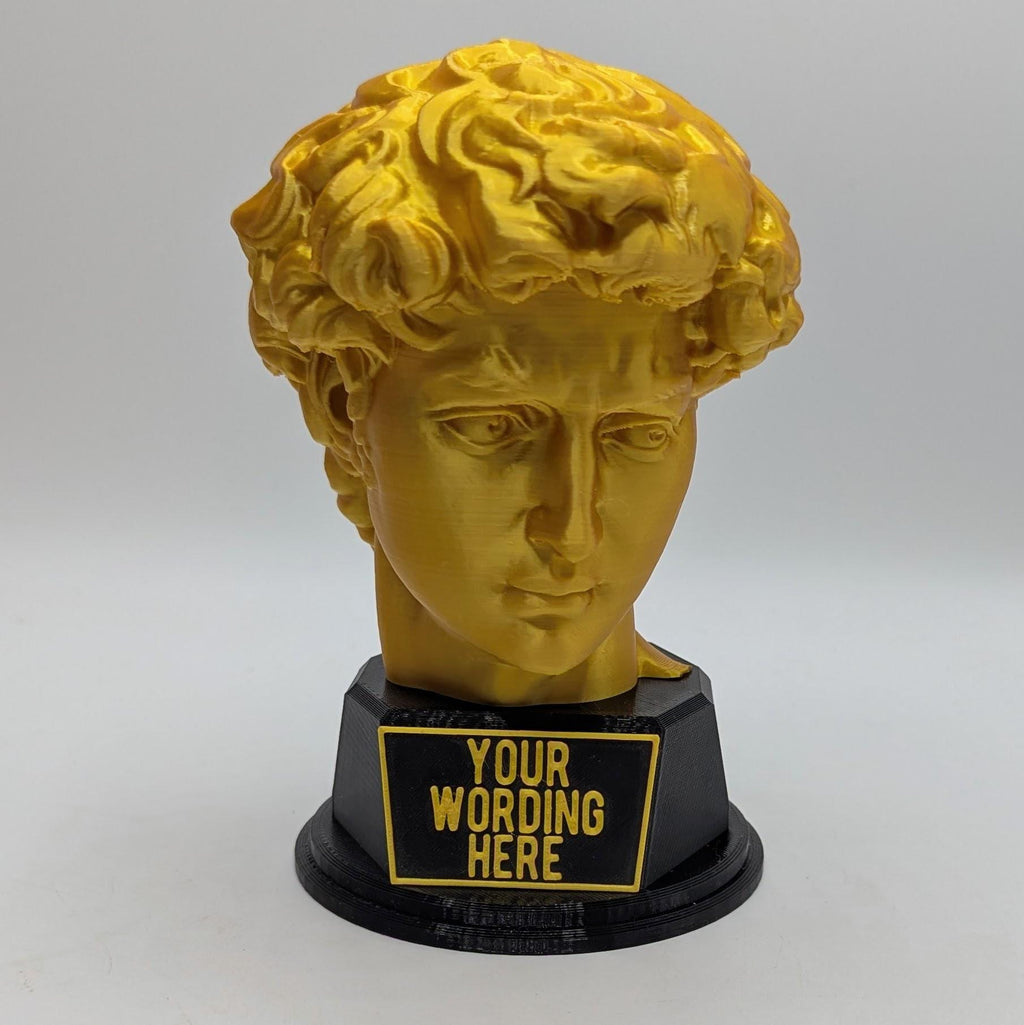 Personalised David's Head Trophy, David's Head Award, Best Employee Award, Office Trophy, Custom Trophy, Golden David Head Award, David Head