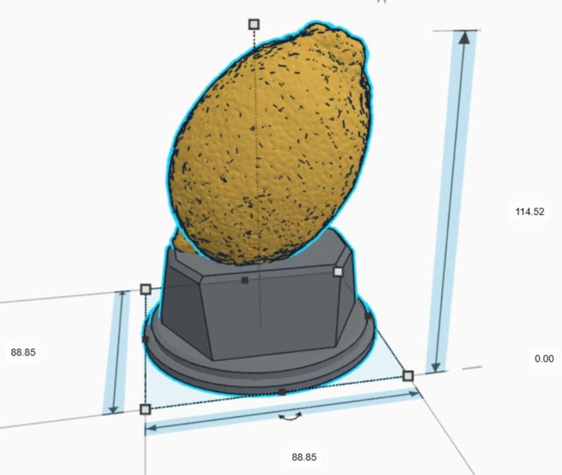 Personalised Lemon Trophy, What A Lemon Trophy, Golden Lemon Award, Custom Trophy, Lemon Gift , Funny Trophy, Lemon Lover, Office Trophy