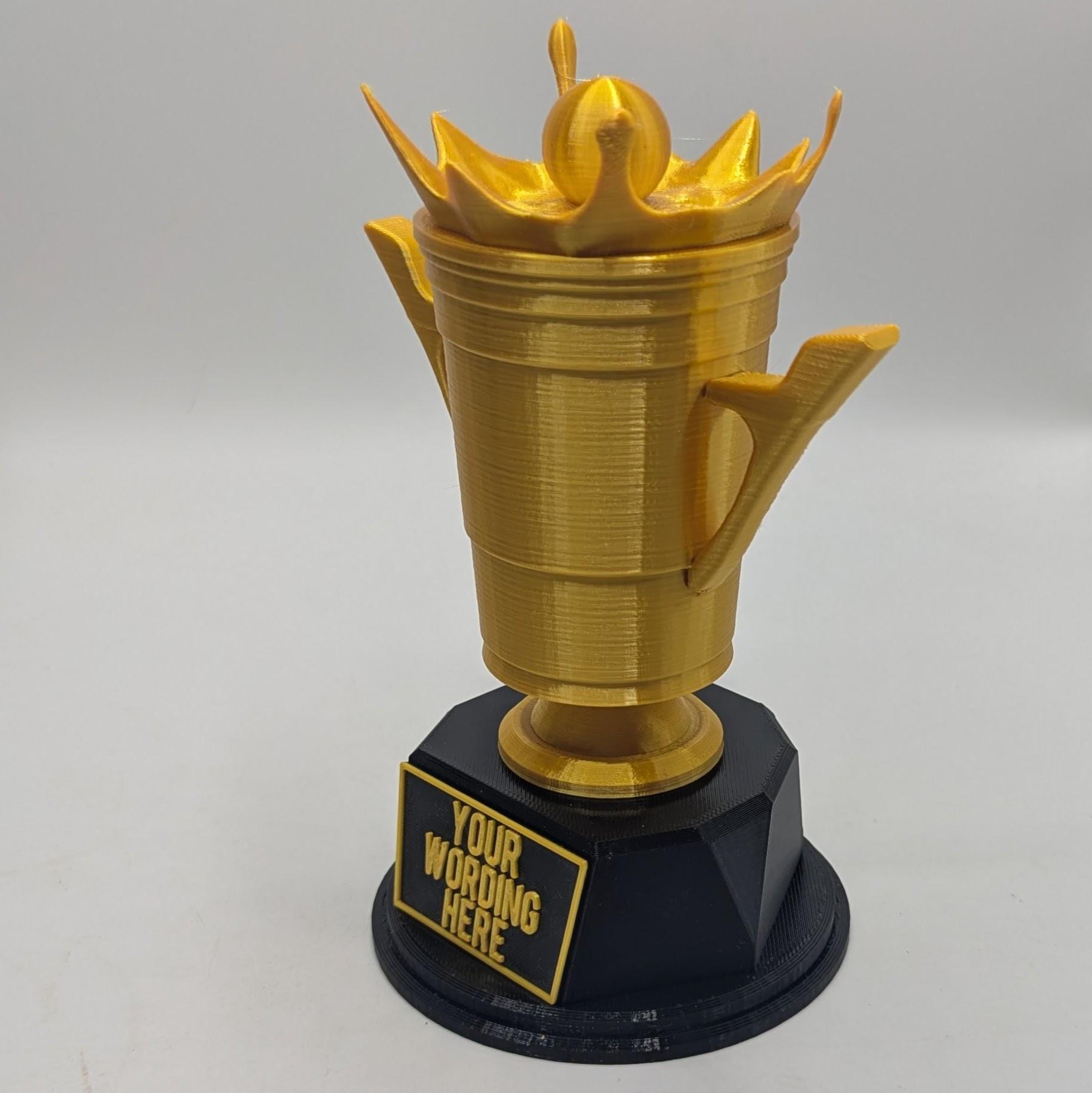 Personalised Beer Pong Trophy, Stag Night Trophy, Biggest Drinker Award, Custom Trophy, Beer Lover Gift, Funny Trophy, Office Beer Trophy