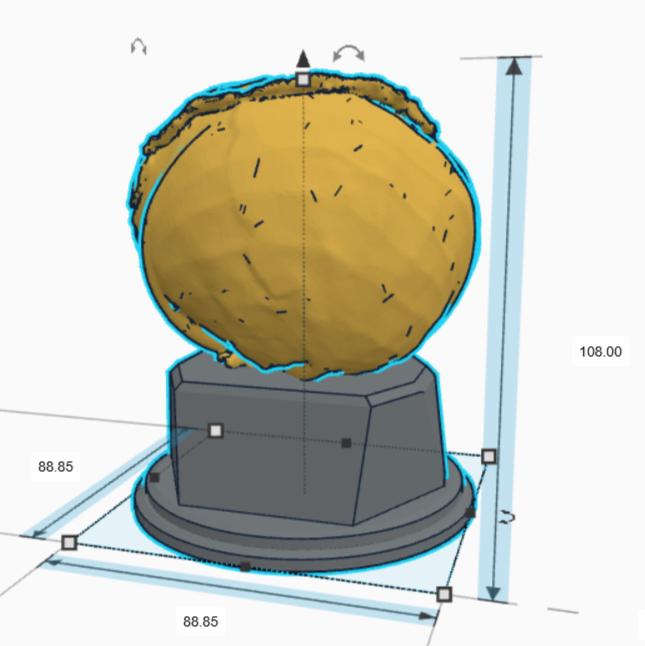 Personalised Cabbage Trophy, Cabbage Fun Trophy, Cabbage Lover Gift, Cabbage Award, Best Cabbage Gift, Gardener Award Gift, Smelly Cabbage