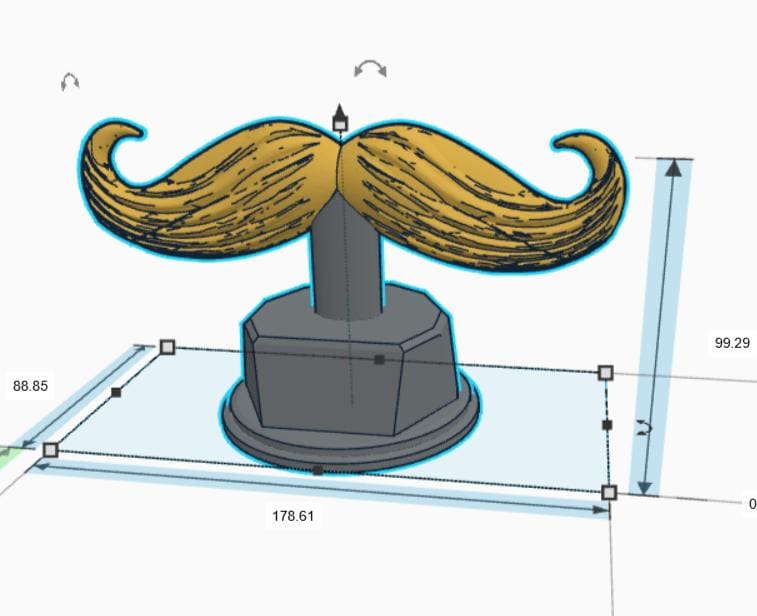 Personalised Moustache Trophy, Movember Award Gift, Custom Trophy Gift, Moustache Award Gift, Office Trophy, Best Moustache Gift, Moustache