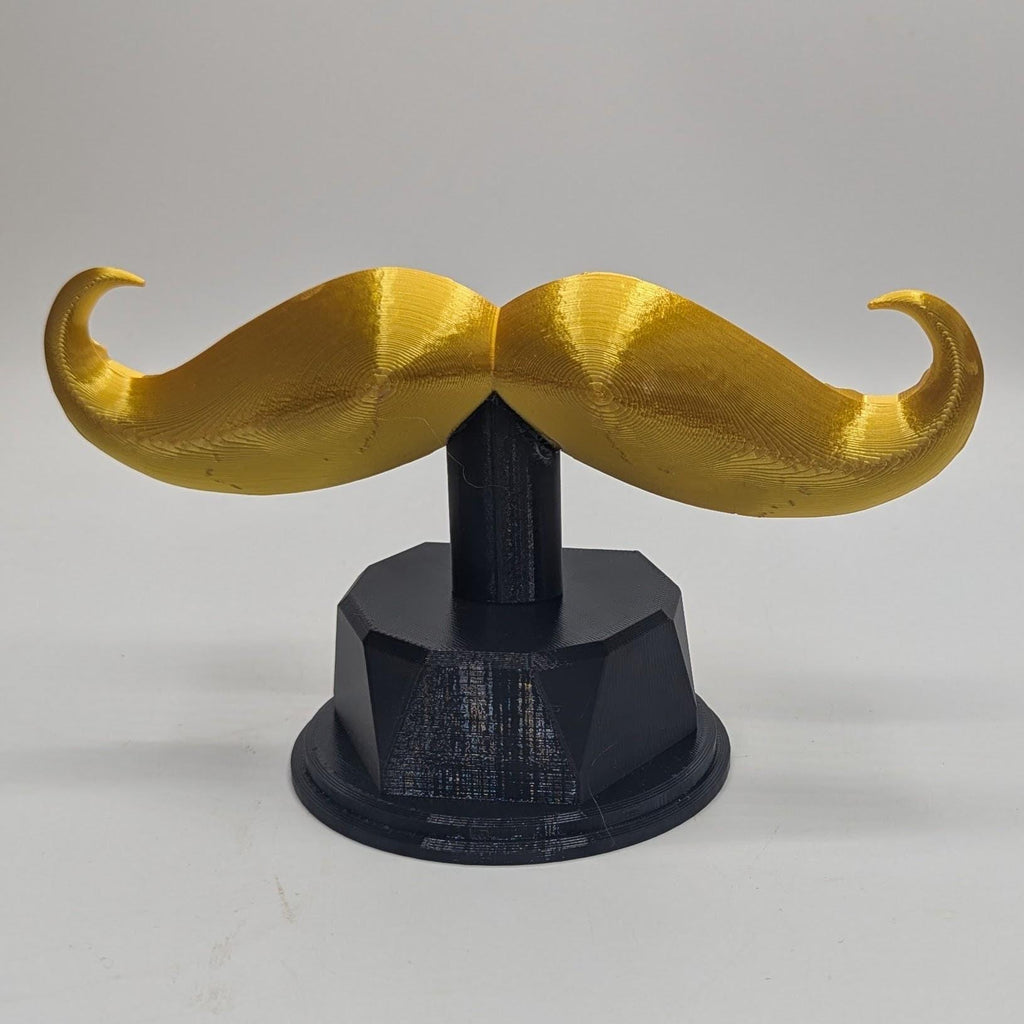 Personalised Moustache Trophy, Movember Award Gift, Custom Trophy Gift, Moustache Award Gift, Office Trophy, Best Moustache Gift, Moustache