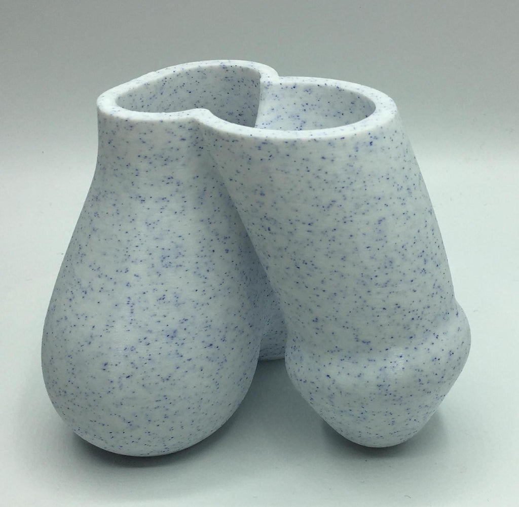 Penis Planter, Cactus Penis Pen Pot, The Grower, Cactus Succulent Planter, Indoor Storage Pot, Novelty Penis Shape Gift, Funny Willy Planter