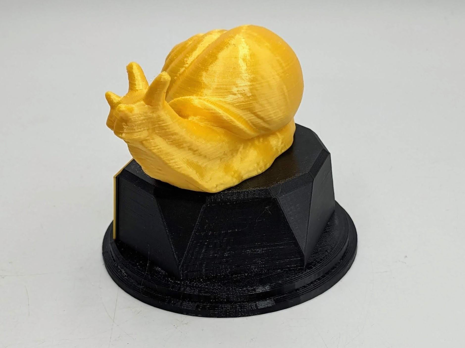 Personalised Snail Trophy / Snail Trophy / Slowest Person Award / Slow Gift / Funny Snail Award / Snail Joke Trophy / Gift for Someone Slow