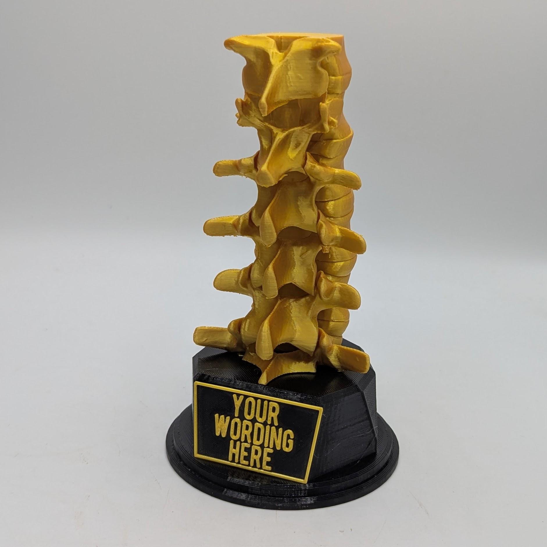Personalised Spine Trophy, Spinal Column Trophy, Doctor Trophy Award, Back Bone Award, Back Trophy, Custom Trophy Award, Back Spine Award