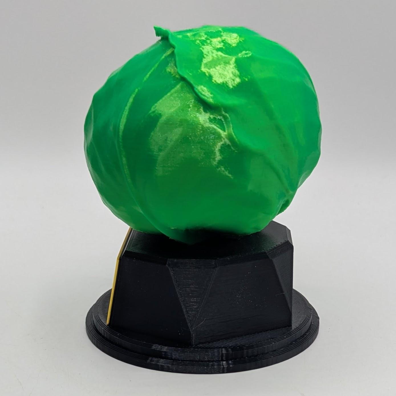 Personalised Cabbage Trophy, Cabbage Fun Trophy, Cabbage Lover Gift, Cabbage Award, Best Cabbage Gift, Gardener Award Gift, Smelly Cabbage