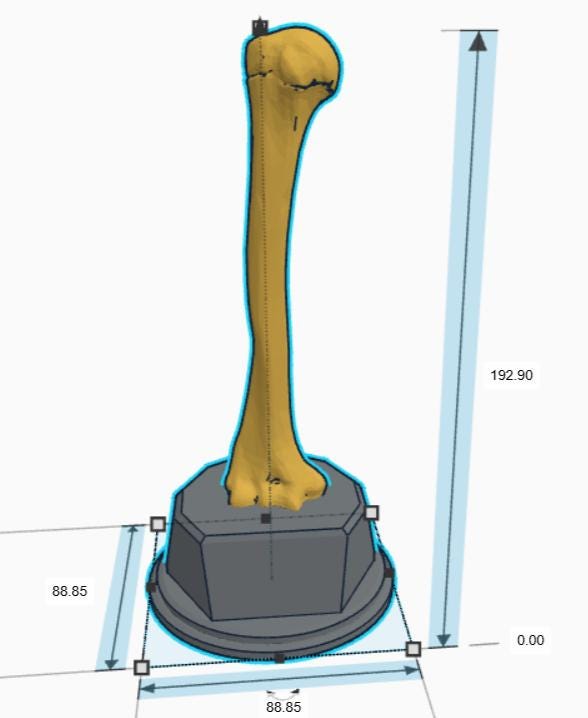 Personalised Humerus Bone Trophy, Humerus Bone Award Trophy, Bone Award Trophy, Custom Trophy Gift, Doctor Trophy Award, Skeleton Award