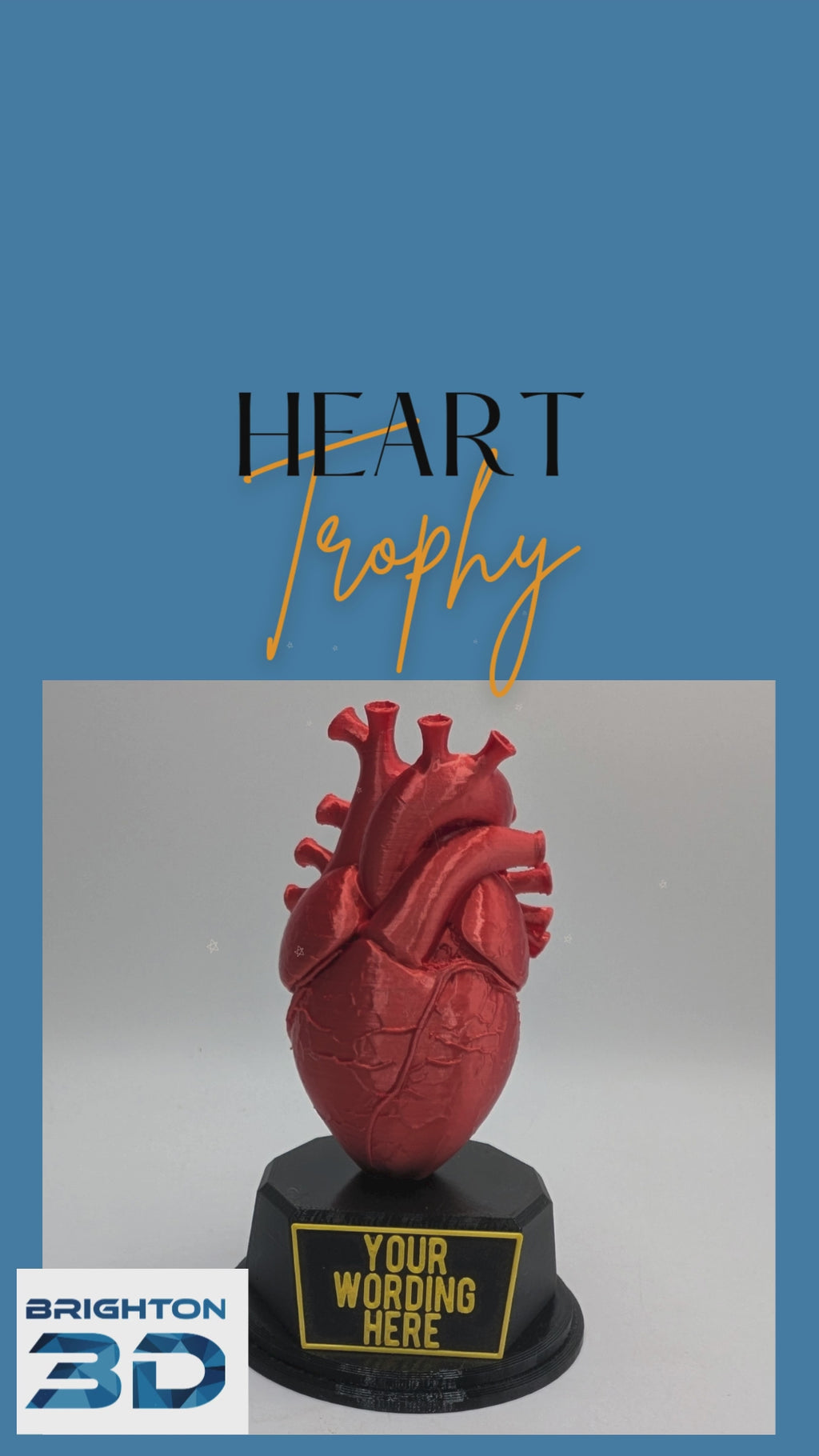 Personalised Heart Trophy, Heart Shape Gift, Heart Doctor Award, Human Heart Gift, Custom Award, Doctor Trophy Award, Custom Heart Award