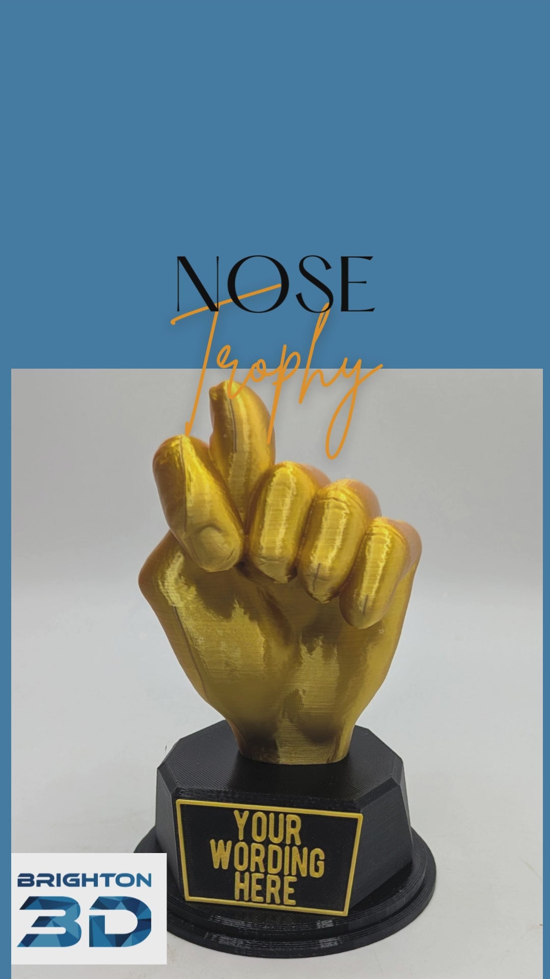 Personalised Got Your Nose Trophy, Hand Shape Gift, Got Your Nose Award, Nose Joke Gift, Custom Trophy Award, Novelty Nose Award, Gold Hand